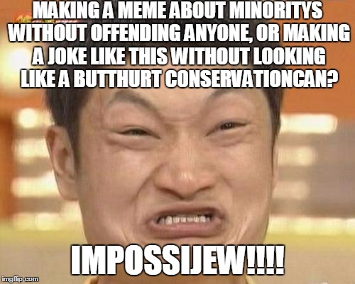I Wonder How Long It Will Take THIS Image To Offend Someone... | MAKING A MEME ABOUT MINORITYS WITHOUT OFFENDING ANYONE, OR MAKING A JOKE LIKE THIS WITHOUT LOOKING LIKE A BUTTHURT CONSERVATIONCAN? IMPOSSIJEW!!!! | image tagged in memes,impossibru guy original | made w/ Imgflip meme maker
