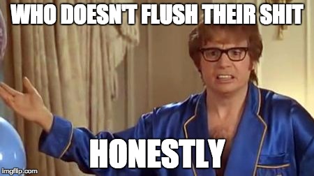 Austin Powers Honestly Meme | WHO DOESN'T FLUSH THEIR SHIT; HONESTLY | image tagged in memes,austin powers honestly | made w/ Imgflip meme maker