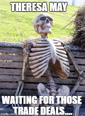 Waiting Skeleton | THERESA MAY; WAITING FOR THOSE TRADE DEALS.... | image tagged in memes,waiting skeleton | made w/ Imgflip meme maker