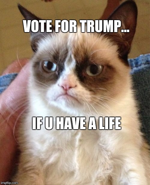 Grumpy Cat Meme | VOTE FOR TRUMP... IF U HAVE A LIFE | image tagged in memes,grumpy cat | made w/ Imgflip meme maker