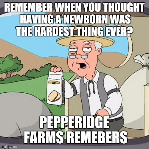 Pepperidge Farm Remembers Meme | REMEMBER WHEN YOU THOUGHT HAVING A NEWBORN WAS THE HARDEST THING EVER? PEPPERIDGE FARMS REMEBERS | image tagged in memes,pepperidge farm remembers | made w/ Imgflip meme maker