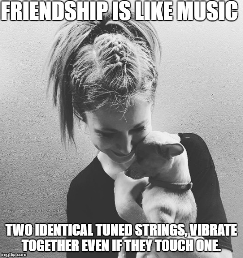 true friend | FRIENDSHIP IS LIKE MUSIC; TWO IDENTICAL TUNED STRINGS, VIBRATE TOGETHER EVEN IF THEY TOUCH ONE. | image tagged in lindsey stirling,luna,meme,love,friends | made w/ Imgflip meme maker