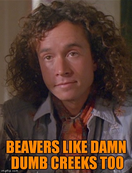 BEAVERS LIKE DAMN DUMB CREEKS TOO | made w/ Imgflip meme maker