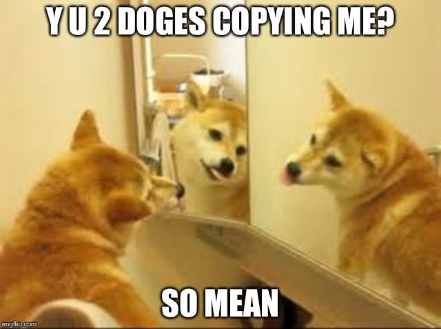 Three doges on a airplane  | Y U 2 DOGES COPYING ME? SO MEAN | image tagged in doge | made w/ Imgflip meme maker