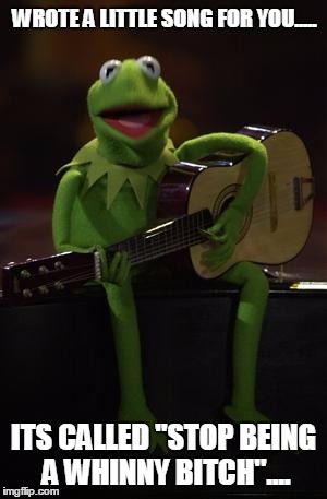 Kermit Guitar | WROTE A LITTLE SONG FOR YOU..... ITS CALLED "STOP BEING A WHINNY BITCH".... | image tagged in kermit guitar | made w/ Imgflip meme maker