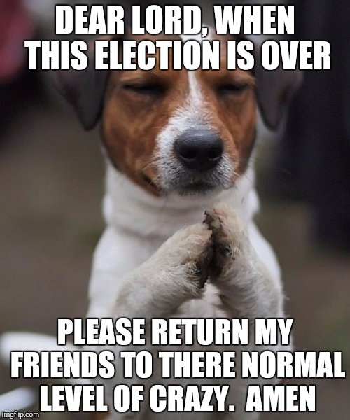 praying dog | DEAR LORD, WHEN THIS ELECTION IS OVER; PLEASE RETURN MY FRIENDS TO THERE NORMAL LEVEL OF CRAZY.  AMEN | image tagged in praying dog | made w/ Imgflip meme maker
