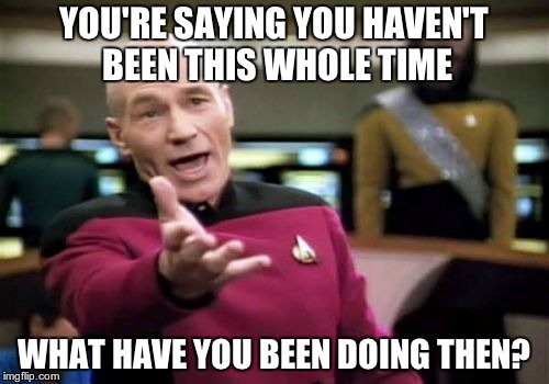 Picard Wtf Meme | YOU'RE SAYING YOU HAVEN'T BEEN THIS WHOLE TIME WHAT HAVE YOU BEEN DOING THEN? | image tagged in memes,picard wtf | made w/ Imgflip meme maker