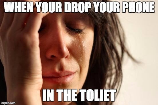 First World Problems | WHEN YOUR DROP YOUR PHONE; IN THE TOLIET | image tagged in memes,first world problems | made w/ Imgflip meme maker
