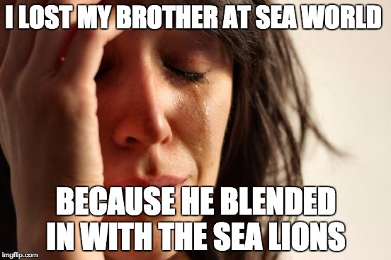 First World Problems Meme | I LOST MY BROTHER AT SEA WORLD; BECAUSE HE BLENDED IN WITH THE SEA LIONS | image tagged in memes,first world problems | made w/ Imgflip meme maker