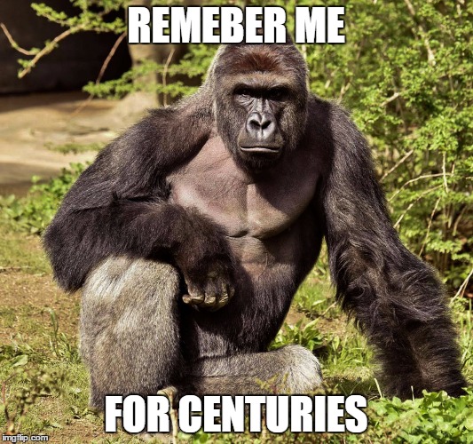 REMEBER ME; FOR CENTURIES | image tagged in harambe | made w/ Imgflip meme maker