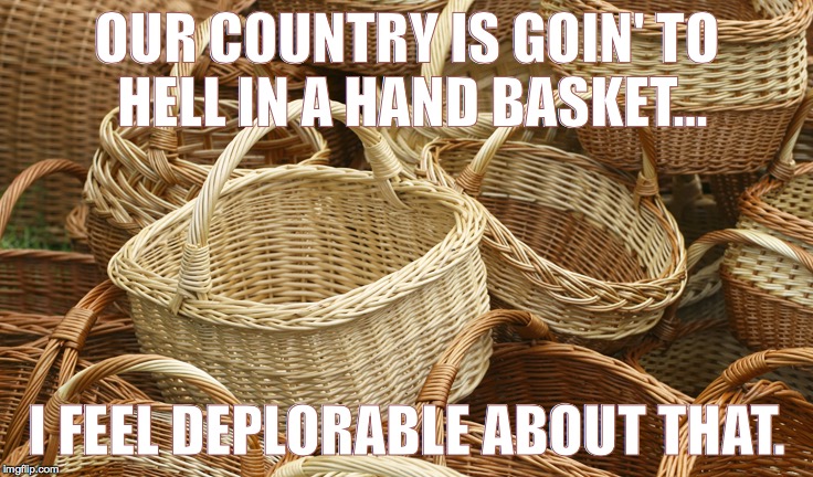 OUR COUNTRY IS GOIN' TO HELL IN A HAND BASKET... I FEEL DEPLORABLE ABOUT THAT. | image tagged in hand basket | made w/ Imgflip meme maker