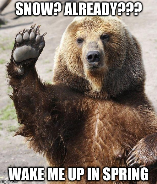 Hello bear | SNOW? ALREADY??? WAKE ME UP IN SPRING | image tagged in hello bear | made w/ Imgflip meme maker
