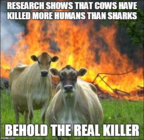 The real killer
 | RESEARCH SHOWS THAT COWS HAVE KILLED MORE HUMANS THAN SHARKS; BEHOLD THE REAL KILLER | image tagged in memes,evil cows,killers,cows are the real killers | made w/ Imgflip meme maker