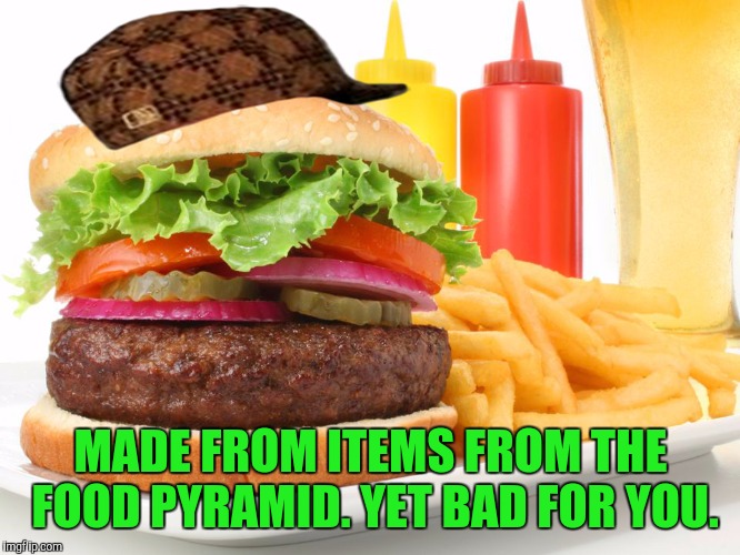 Hamburger  | MADE FROM ITEMS FROM THE FOOD PYRAMID. YET BAD FOR YOU. | image tagged in hamburger,scumbag | made w/ Imgflip meme maker