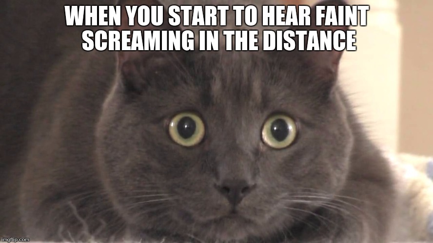 WHEN YOU START TO HEAR FAINT SCREAMING IN THE DISTANCE | image tagged in oh damn | made w/ Imgflip meme maker