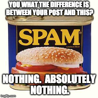 spam | YOU WHAT THE DIFFERENCE IS BETWEEN YOUR POST AND THIS? NOTHING.  ABSOLUTELY NOTHING. | image tagged in spam | made w/ Imgflip meme maker