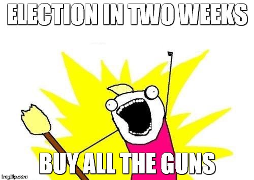 X All The Y Meme | ELECTION IN TWO WEEKS; BUY ALL THE GUNS | image tagged in memes,x all the y | made w/ Imgflip meme maker