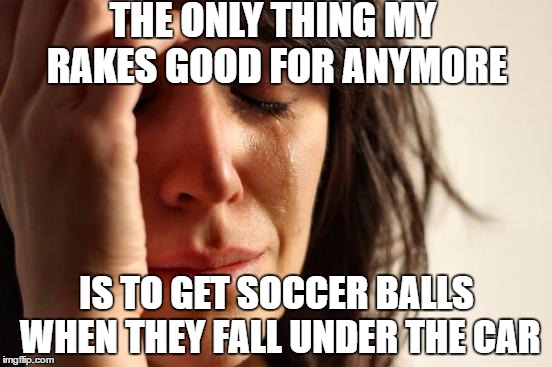 First World Problems | THE ONLY THING MY RAKES GOOD FOR ANYMORE; IS TO GET SOCCER BALLS WHEN THEY FALL UNDER THE CAR | image tagged in memes,first world problems | made w/ Imgflip meme maker