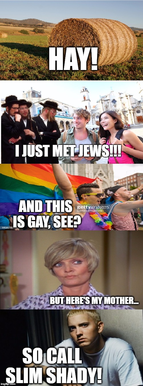 Probably the most Random Imgflip Sing-a-Long that I could come up with on such short notice... | HAY! I JUST MET JEWS!!! AND THIS IS GAY, SEE? BUT HERE'S MY MOTHER... SO CALL SLIM SHADY! | image tagged in call me maybe,memes,funny,imgflip users | made w/ Imgflip meme maker