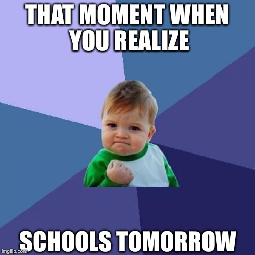 Success Kid | THAT MOMENT WHEN YOU REALIZE; SCHOOLS TOMORROW | image tagged in memes,success kid | made w/ Imgflip meme maker