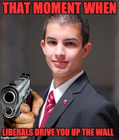 College Conservative  | THAT MOMENT WHEN; LIBERALS DRIVE YOU UP THE WALL | image tagged in college conservative | made w/ Imgflip meme maker