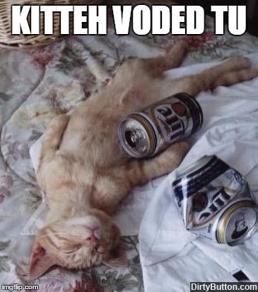 KITTEH VODED TU | made w/ Imgflip meme maker