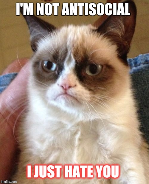Grumpy Cat Meme | I'M NOT ANTISOCIAL; I JUST HATE YOU | image tagged in memes,grumpy cat | made w/ Imgflip meme maker