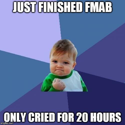 Success Kid | JUST FINISHED FMAB; ONLY CRIED FOR 20 HOURS | image tagged in memes,success kid | made w/ Imgflip meme maker