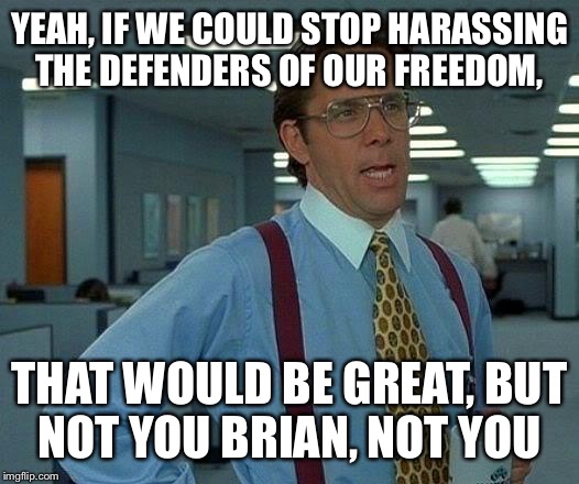 That Would Be Great Meme | YEAH, IF WE COULD STOP HARASSING THE DEFENDERS OF OUR FREEDOM, THAT WOULD BE GREAT, BUT NOT YOU BRIAN, NOT YOU | image tagged in memes,that would be great | made w/ Imgflip meme maker
