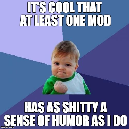Success Kid Meme | IT'S COOL THAT AT LEAST ONE MOD; HAS AS SHITTY A SENSE OF HUMOR AS I DO | image tagged in memes,success kid | made w/ Imgflip meme maker
