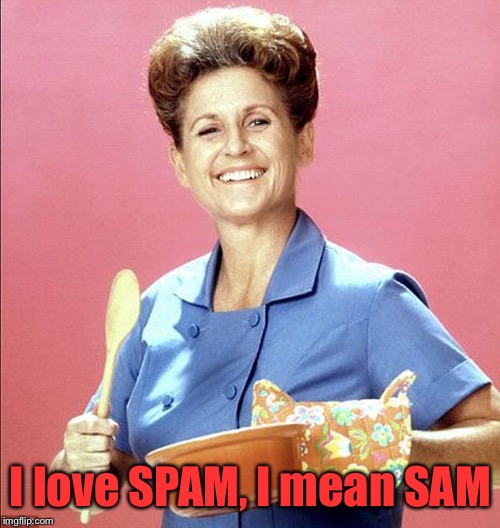 I love SPAM, I mean SAM | made w/ Imgflip meme maker