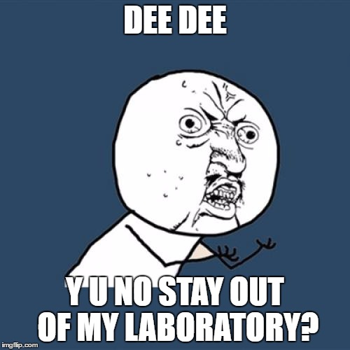 Y U No | DEE DEE; Y U NO STAY OUT OF MY LABORATORY? | image tagged in memes,y u no | made w/ Imgflip meme maker