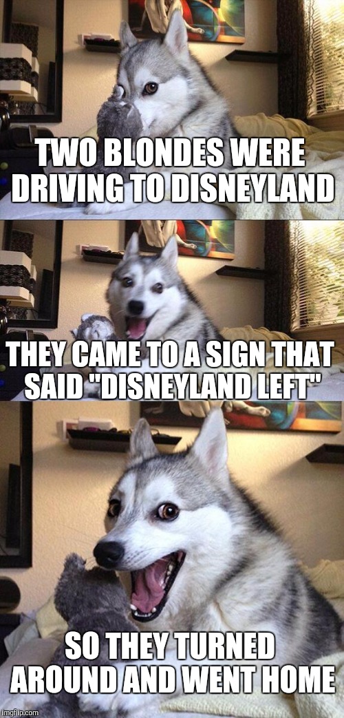 Bad Pun Dog Meme | TWO BLONDES WERE DRIVING TO DISNEYLAND; THEY CAME TO A SIGN THAT SAID "DISNEYLAND LEFT"; SO THEY TURNED AROUND AND WENT HOME | image tagged in memes,bad pun dog | made w/ Imgflip meme maker