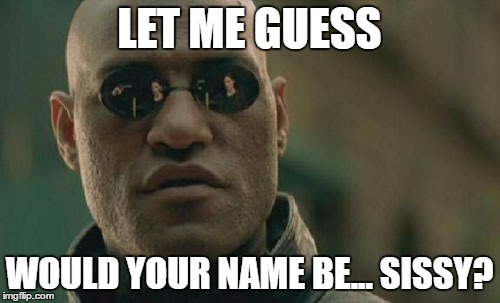 Matrix Morpheus Meme | LET ME GUESS WOULD YOUR NAME BE... SISSY? | image tagged in memes,matrix morpheus | made w/ Imgflip meme maker