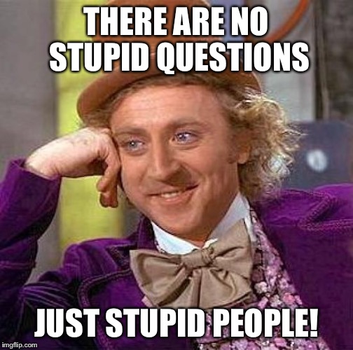 As a Trainer, my favorite phrase! | THERE ARE NO STUPID QUESTIONS; JUST STUPID PEOPLE! | image tagged in memes,creepy condescending wonka | made w/ Imgflip meme maker