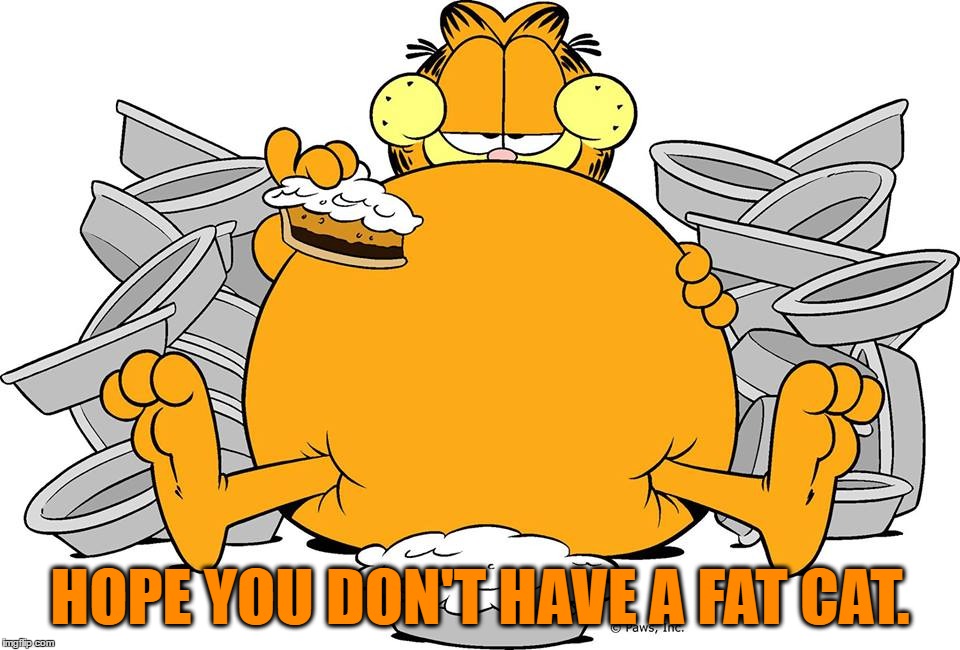 HOPE YOU DON'T HAVE A FAT CAT. | made w/ Imgflip meme maker