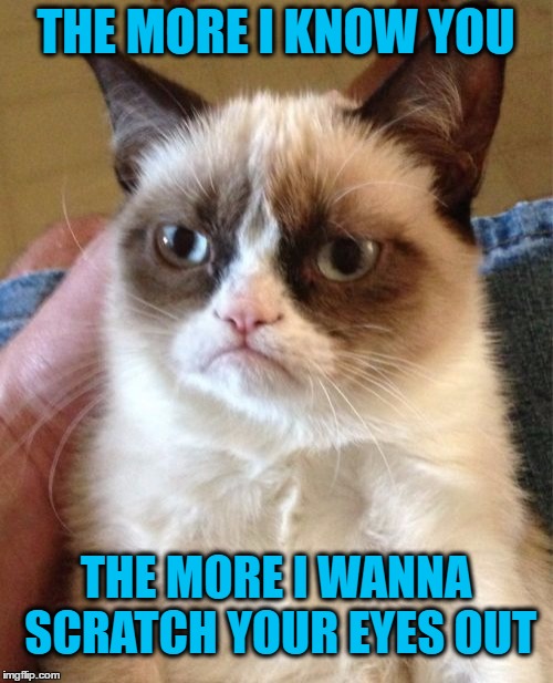 Grumpy Cat Meme | THE MORE I KNOW YOU THE MORE I WANNA SCRATCH YOUR EYES OUT | image tagged in memes,grumpy cat | made w/ Imgflip meme maker