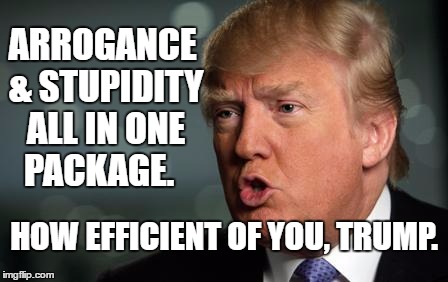 Trump | ARROGANCE & STUPIDITY ALL IN ONE PACKAGE. HOW EFFICIENT OF YOU, TRUMP. | image tagged in trump | made w/ Imgflip meme maker