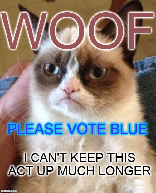 Grumpy Cat | WOOF; PLEASE VOTE BLUE; I CAN'T KEEP THIS ACT UP MUCH LONGER | image tagged in memes,grumpy cat | made w/ Imgflip meme maker