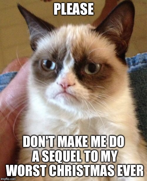 Grumpy Cat Meme | PLEASE DON'T MAKE ME DO A SEQUEL TO MY WORST CHRISTMAS EVER | image tagged in memes,grumpy cat | made w/ Imgflip meme maker