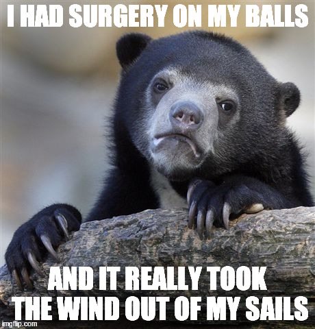 Yeah......   No fun at all. | I HAD SURGERY ON MY BALLS; AND IT REALLY TOOK THE WIND OUT OF MY SAILS | image tagged in memes,confession bear | made w/ Imgflip meme maker