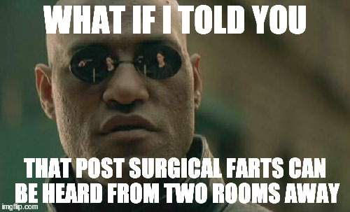 Matrix Morpheus Meme | WHAT IF I TOLD YOU; THAT POST SURGICAL FARTS CAN BE HEARD FROM TWO ROOMS AWAY | image tagged in memes,matrix morpheus | made w/ Imgflip meme maker