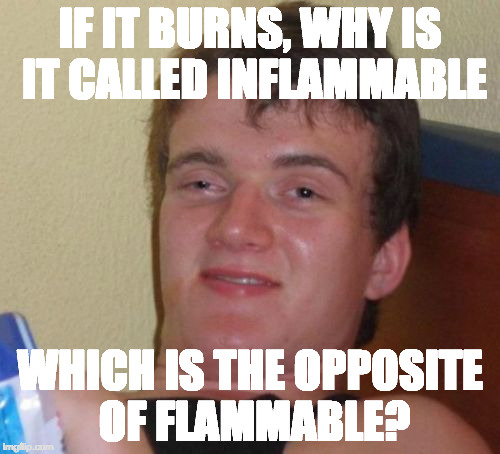 10 Guy Ponders Flammable Inflammable | IF IT BURNS, WHY IS IT CALLED INFLAMMABLE; WHICH IS THE OPPOSITE OF FLAMMABLE? | image tagged in 10 guy,flammable,inflammable,opposite | made w/ Imgflip meme maker
