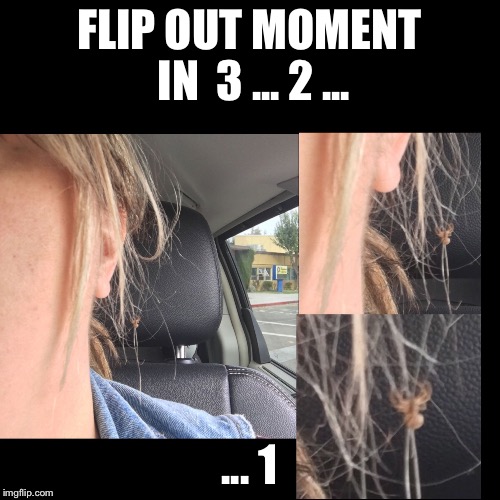 EEK!  | FLIP OUT MOMENT IN 
3 ... 2 ... ... 1 | image tagged in eek | made w/ Imgflip meme maker