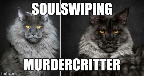 Murder kitty | SOULSWIPING; MURDERCRITTER | image tagged in cute kittens,hipster kitty | made w/ Imgflip meme maker