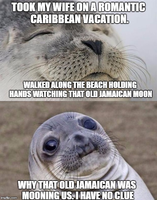 Short Satisfaction VS Truth Meme | TOOK MY WIFE ON A ROMANTIC CARIBBEAN VACATION. WALKED ALONG THE BEACH HOLDING HANDS WATCHING THAT OLD JAMAICAN MOON; WHY THAT OLD JAMAICAN WAS MOONING US. I HAVE NO CLUE | image tagged in memes,short satisfaction vs truth | made w/ Imgflip meme maker