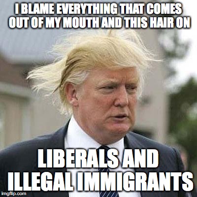 Donald Trump | I BLAME EVERYTHING THAT COMES OUT OF MY MOUTH AND THIS HAIR ON; LIBERALS AND ILLEGAL IMMIGRANTS | image tagged in donald trump | made w/ Imgflip meme maker
