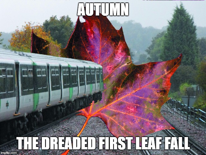 AUTUMN; THE DREADED FIRST LEAF FALL | image tagged in autumn | made w/ Imgflip meme maker