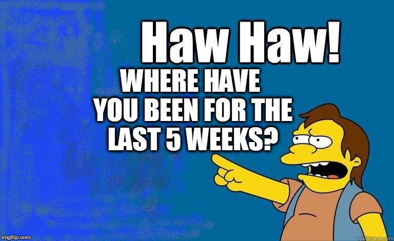 WHERE HAVE YOU BEEN FOR THE LAST 5 WEEKS? | made w/ Imgflip meme maker