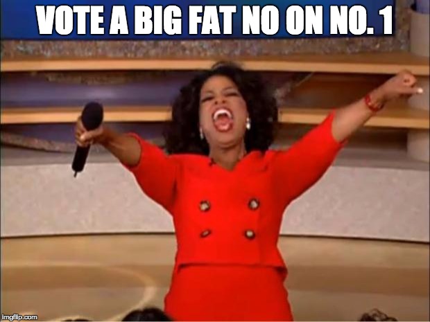 Oprah You Get A Meme | VOTE A BIG FAT NO ON NO. 1 | image tagged in memes,oprah you get a | made w/ Imgflip meme maker